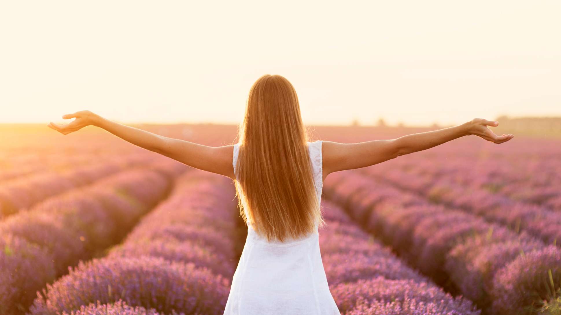 OSHO star Path The Path of Transformation